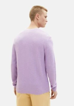TOM TAILOR Denim Basic - Trui - Lilac Vibe -Syntia Delaney 05f7a84582504f4dab67d310daa36099