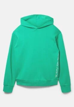 TOM TAILOR Denim Mit Print - Hoodie - Fresh Peppermint 15 TOM TAILOR Denim Mit Print - Hoodie - Fresh Peppermint -Syntia Delaney 1a22d72074714c1a99313b3f1755c751