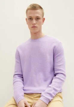 TOM TAILOR Denim Basic - Trui - Lilac Vibe -Syntia Delaney 54a37358c3484d8bbc53a065838d02af