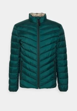 Tom Tailor Lightweight Jacket - Jas - Deep Green Lake -Syntia Delaney 68b9eee412e04f33a46bef6b5092aca4