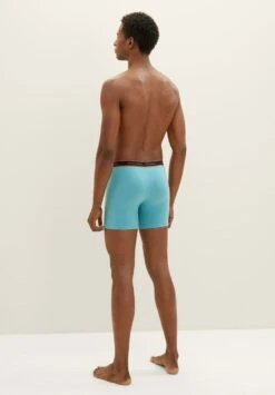 Tom Tailor Im 4Er Pack - Onderbroeken - Green/Medium Horizontal Stripe -Syntia Delaney 7b24b640545d4929baaa21e1e85cea8c