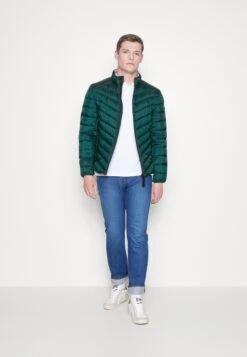 Tom Tailor Lightweight Jacket - Jas - Deep Green Lake -Syntia Delaney 7e779101086f4523a9dea63d3623cdf4