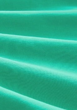 TOM TAILOR Denim Mit Print - Hoodie - Fresh Peppermint 14 TOM TAILOR Denim Mit Print - Hoodie - Fresh Peppermint -Syntia Delaney 8e59e6e70db248f28930dad17227e18a