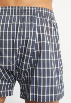 Tom Tailor 2Er Pack - Boxershort - Darkblue/Blue -Syntia Delaney f1b8b58530fb44bf9522096c3524302e