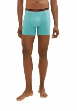 Tom Tailor Im 4Er Pack - Onderbroeken - Green/Medium Horizontal Stripe -Syntia Delaney f2b8c7b44b454a328f8446ff4afd4e5b