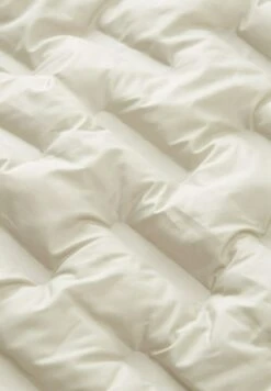 Tom Tailor Regular FitMit Steppungen - Jas - Beige Alfalfa -Syntia Delaney ff752b9a491d47199ffb849d7b15915b